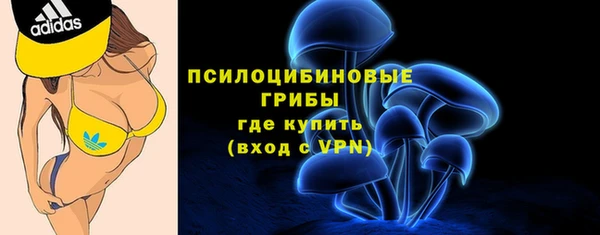 ГАЛЛЮЦИНОГЕННЫЕ ГРИБЫ Алексин