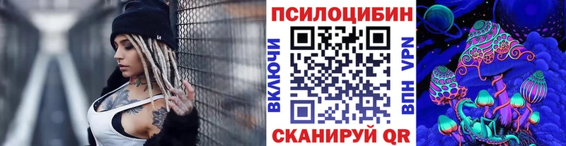 Купить закладки  Орёл  Галлюциногенные грибы Psilocybe 